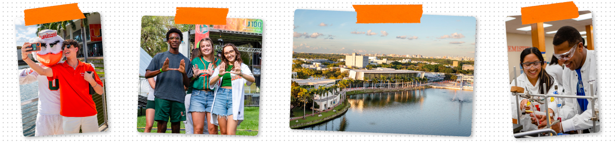 Preview the U